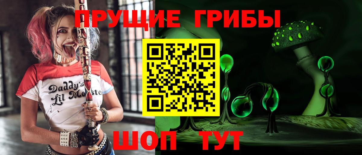 Галлюциногенные грибы мицелий Вышний Волочёк